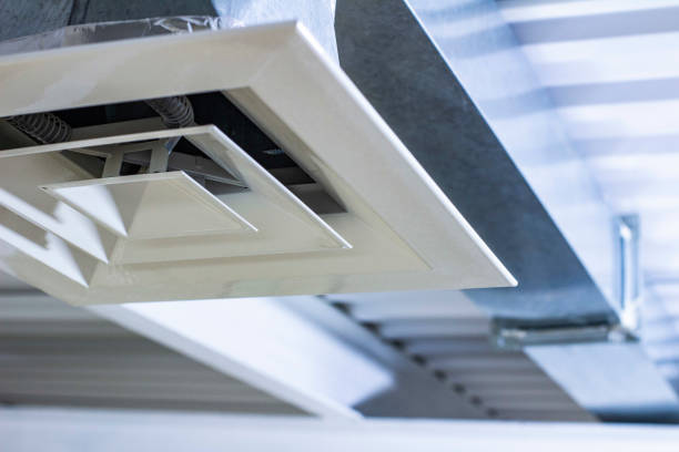 Best Affordable Duct Cleaning Services  in Panthersville, GA