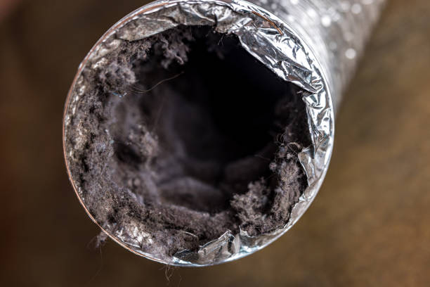 Best Best Air Duct Cleaning Company  in Panthersville, GA