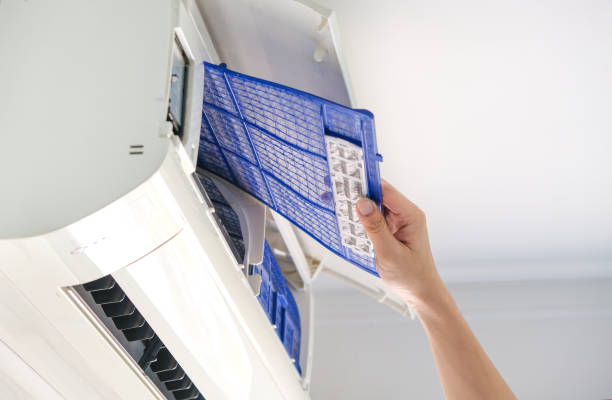 Best Dryer Vent Cleaning Services  in Panthersville, GA